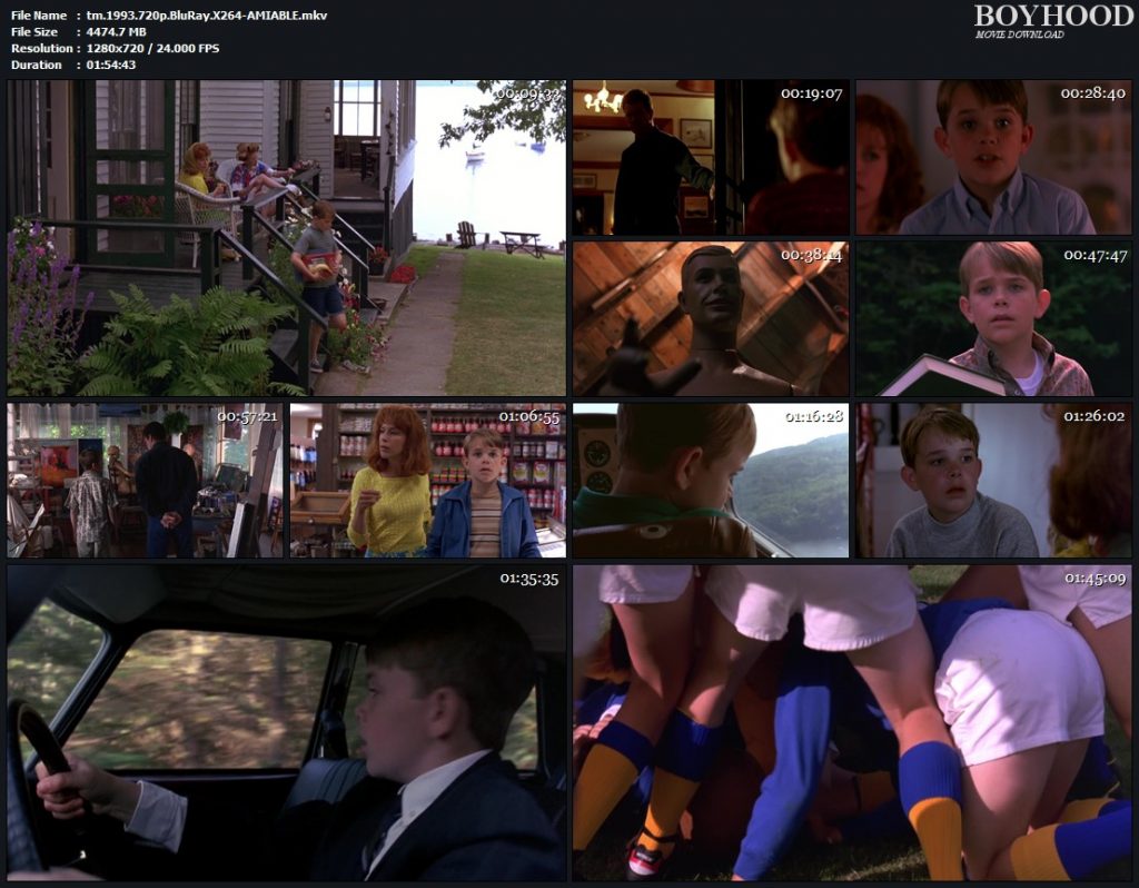 The Man Without a Face 1993