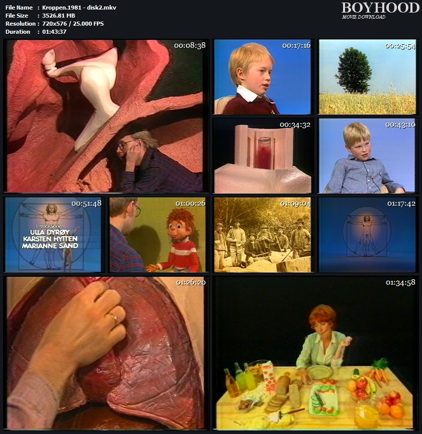 Kroppen 1981 - Disk2