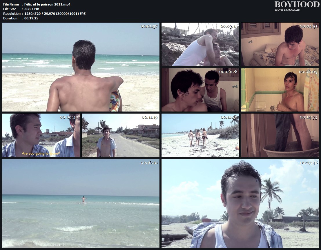 Félix et le poisson 2011